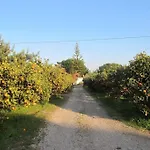 Casa vacanze Quinta Vita- Laranja Almancil
