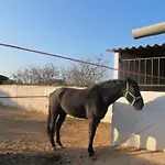 Casa vacanze Quinta Vita- Laranja Almancil