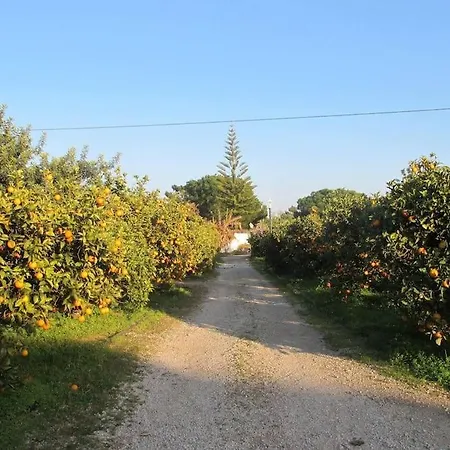 Сasa de vacaciones Quinta Vita- Laranja Almancil