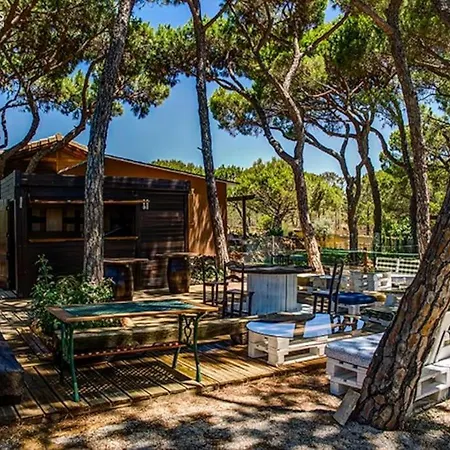 Quinta Vita- Laranja *