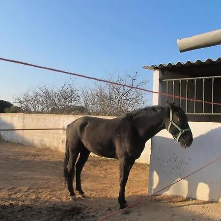 Nyaraló Quinta Vita- Laranja Almancil