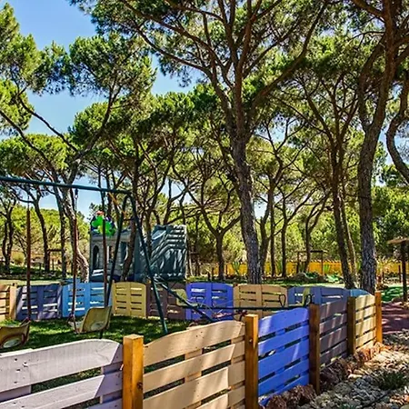 Quinta Vita- Laranja Almancil