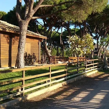 Quinta Vita- Laranja *