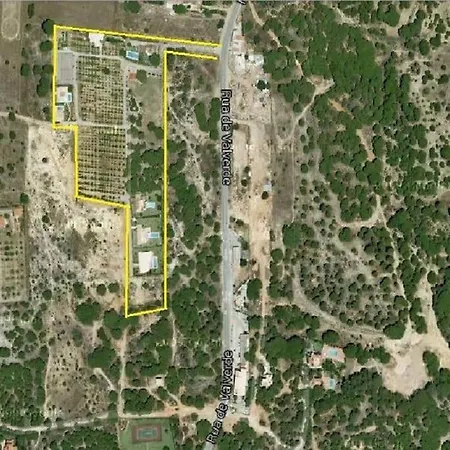 Quinta Vita- Laranja