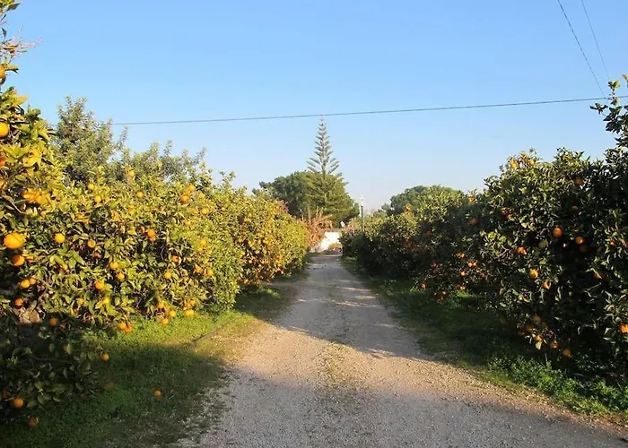 別荘 Quinta Vita- Laranja アルマンシル