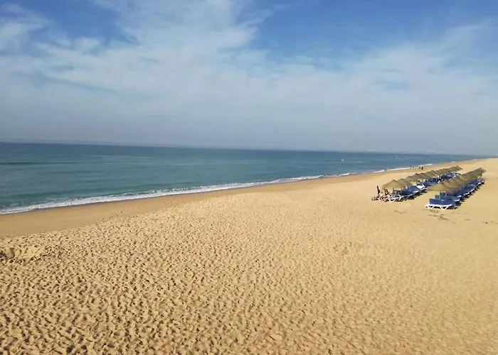 別荘 Quinta Vita- Laranja