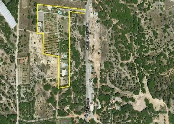 Quinta Vita- Laranja